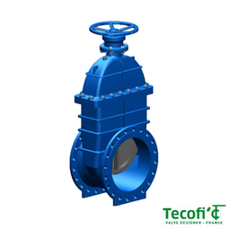 Засувка клинова чавунна Tecofi TecGate VOC424116AP-08EP DN 800 PN16